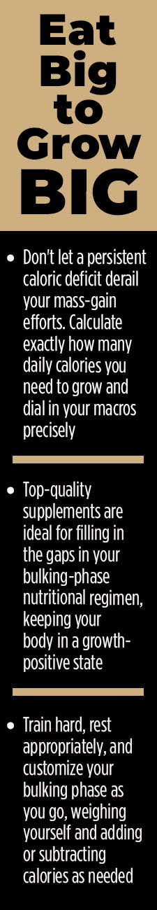 3 Tips to Eat Big and Get Big During Your Bulking Phase